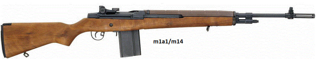 M14.gif
