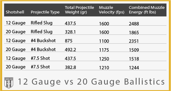 12-gauge-vs-20-gauge-ballistics.png