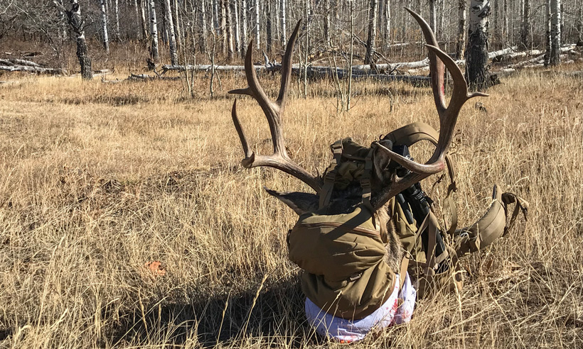 Chris-Porter-2017-Colorado-mule-deer-in-Mystery-Ranch-backpack.jpg