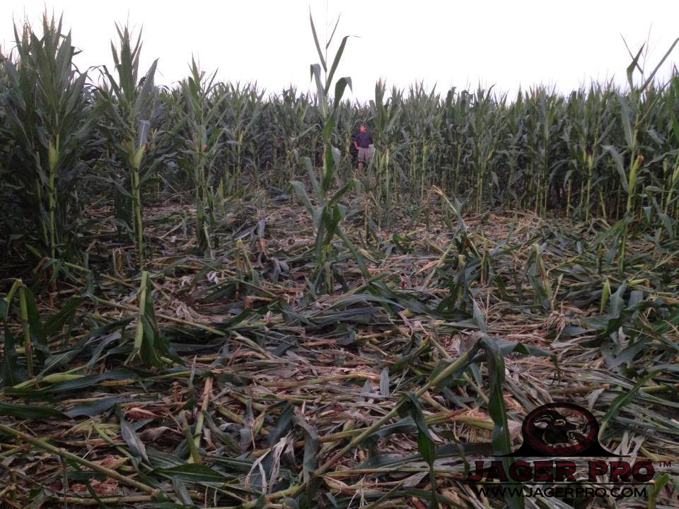 jager-pro-july-corn-damage.jpg