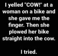 i-yelled-cow-to-woman-on-bike-she-gave-me-finger-before-hitting.jpg