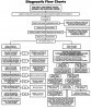 Brake Diagnosis Flow Chart by Wagner | Grumpys Performance Garage