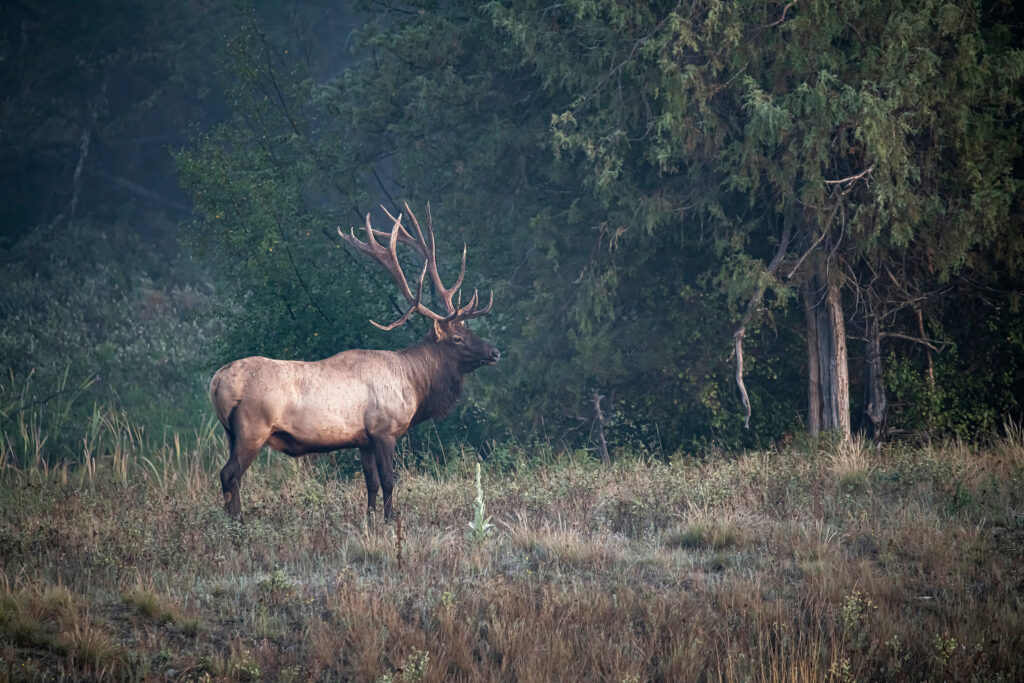 fieldandstream.com
