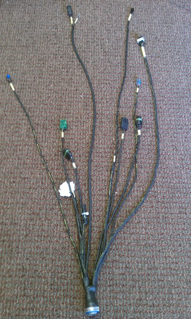 wire9.jpg