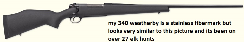 markv_fibermarka.jpg
