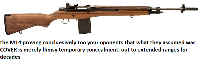 FAM14ServiceRifle4.png