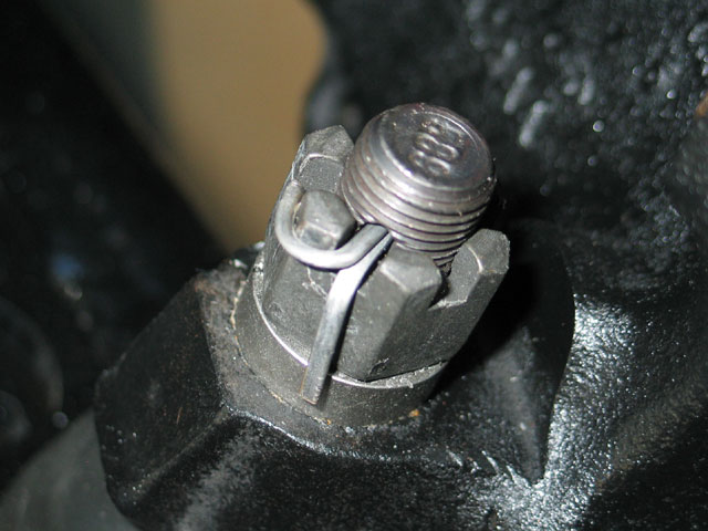 castlenut1a.jpg