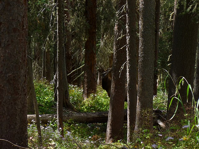 P1000158.JPG