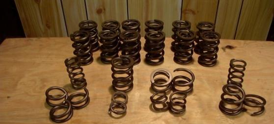 brokenvalvesprings.jpg