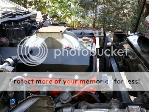 bwpCustom_zps9578f217.jpg
