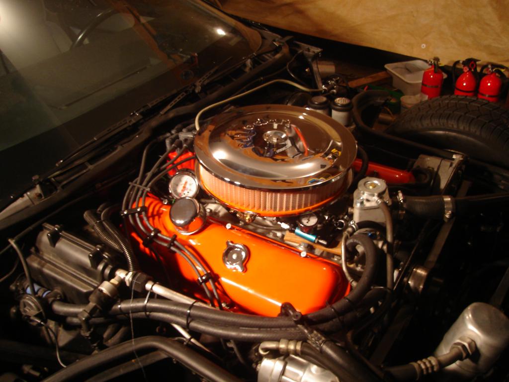 DSC00009vrd.jpg