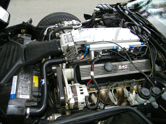 ling540a.JPG