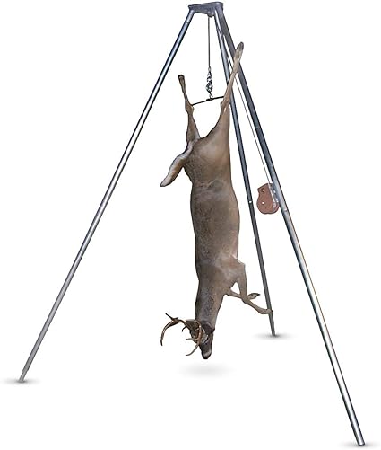 51AuhQCQVrL._AC_SX425_.jpg