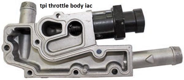 iacbn.jpg