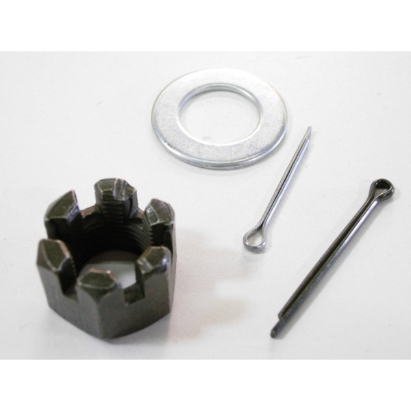 castlenut2a.jpg