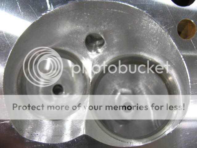 555EngineBuild1-09059.jpg